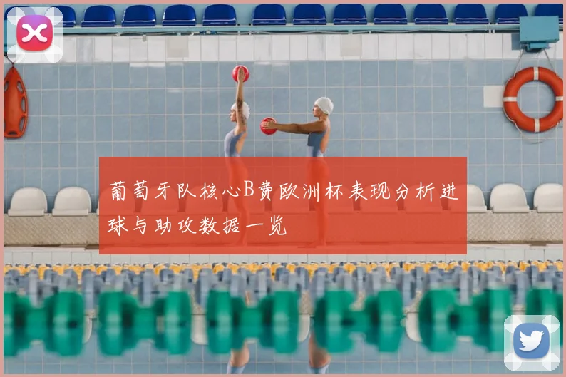 葡萄牙队核心B费欧洲杯表现分析进球与助攻数据一览