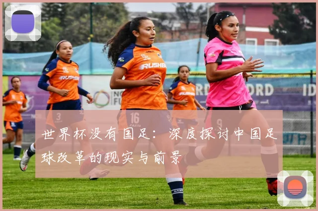 世界杯没有国足：深度探讨中国足球改革的现实与前景