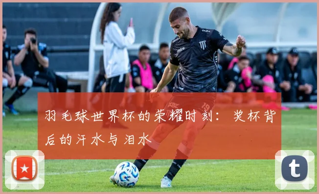 羽毛球世界杯的荣耀时刻：奖杯背后的汗水与泪水