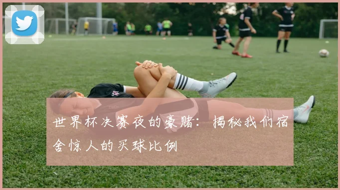 世界杯决赛夜的豪赌：揭秘我们宿舍惊人的买球比例