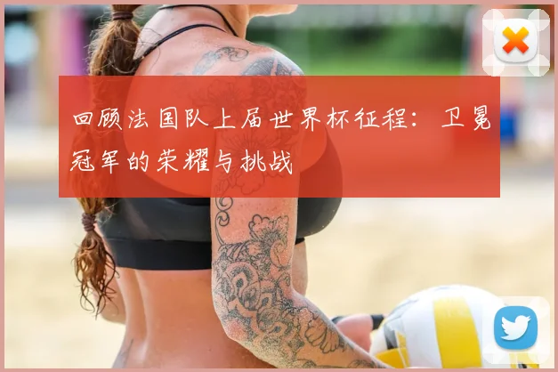 回顾法国队上届世界杯征程:卫冕冠军的荣耀与挑战