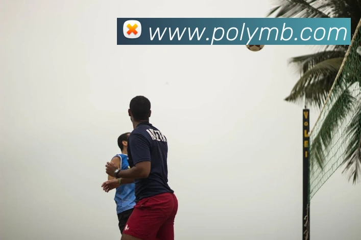 乐竞体育登录方式平台生态图